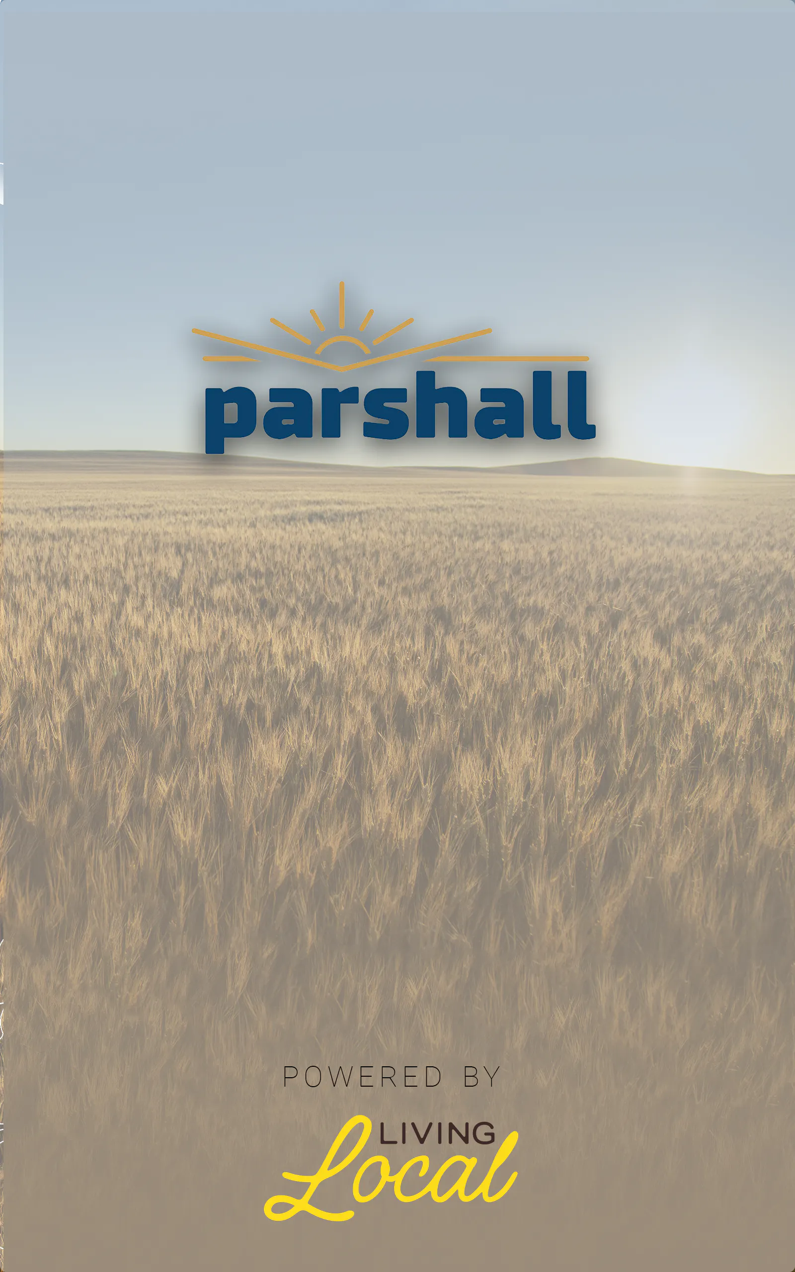 Splash Screen