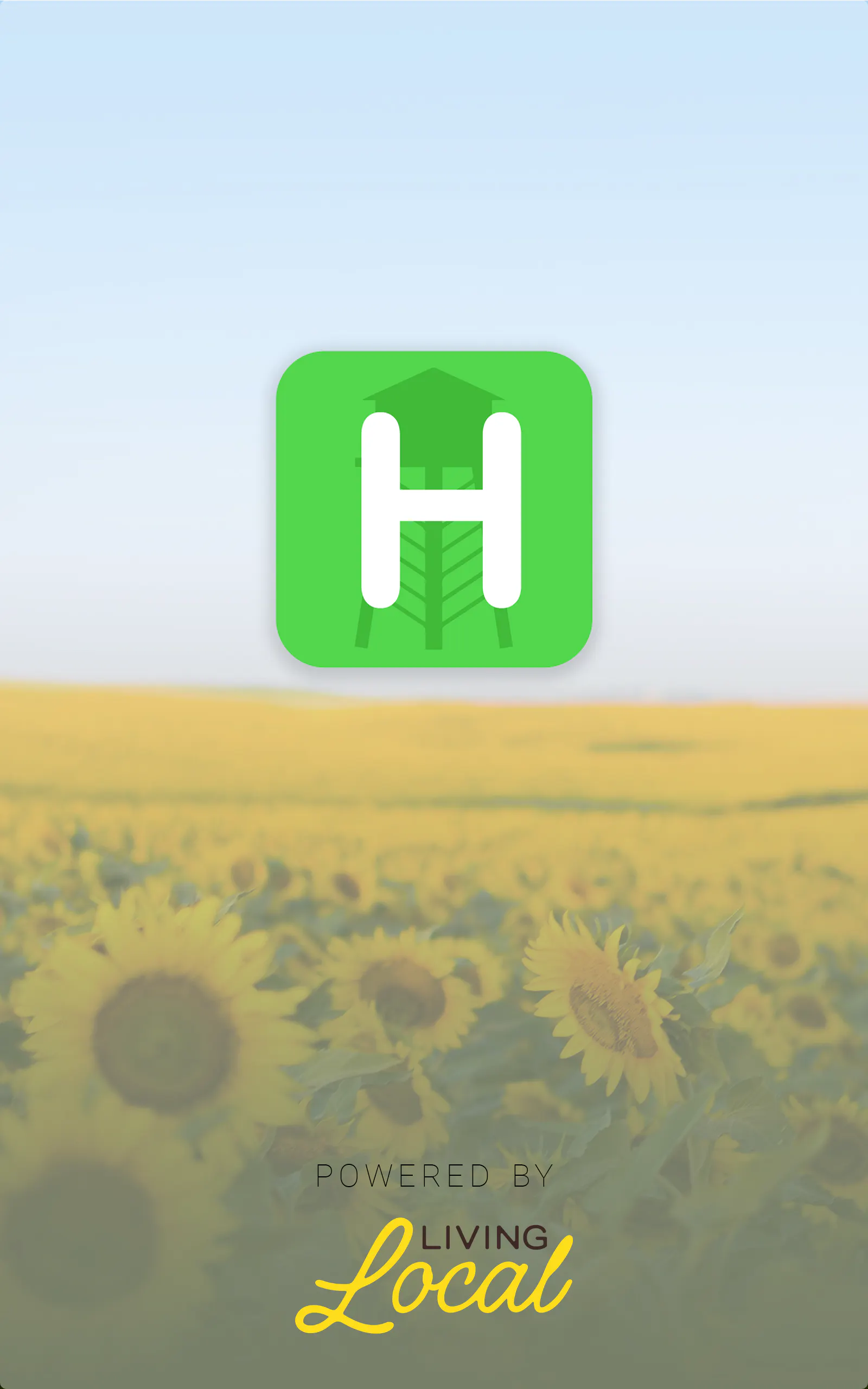 Splash Screen