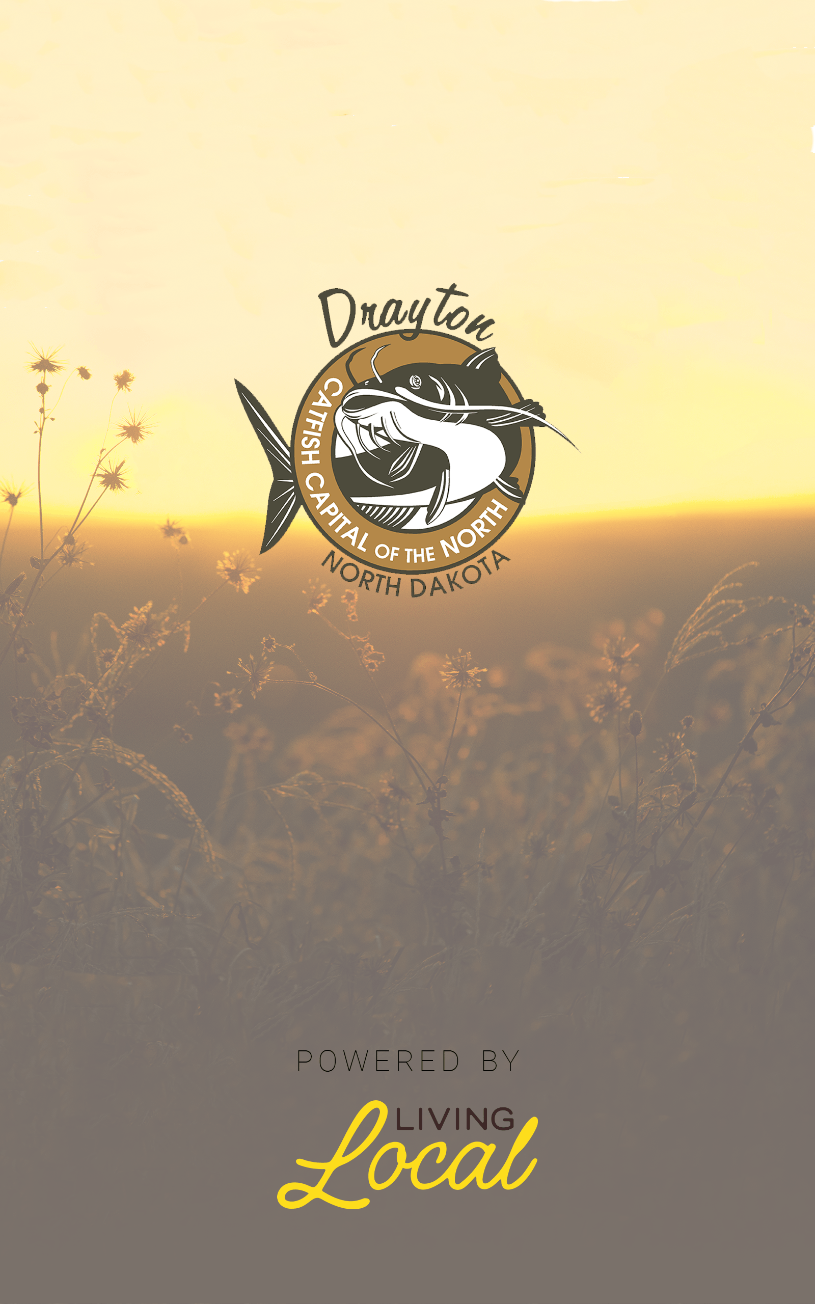 Splash Screen