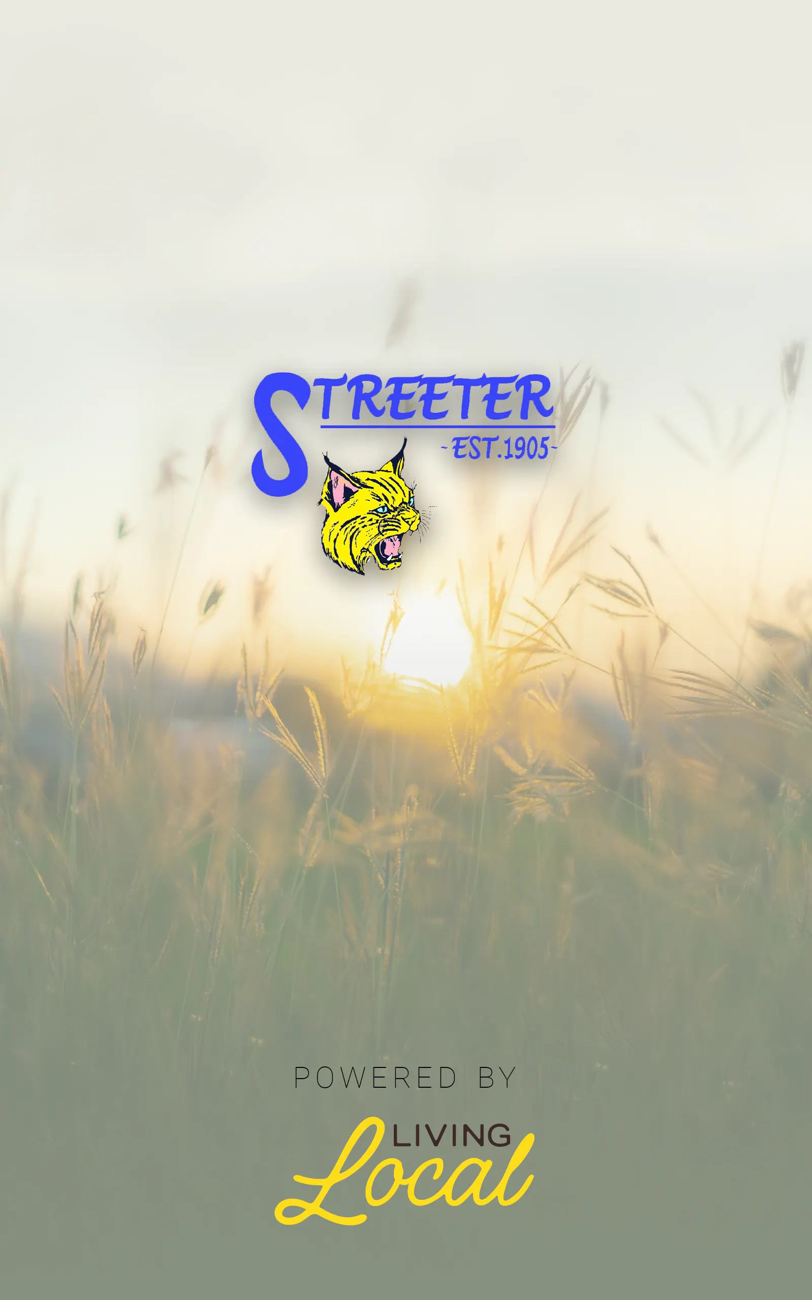 Splash Screen