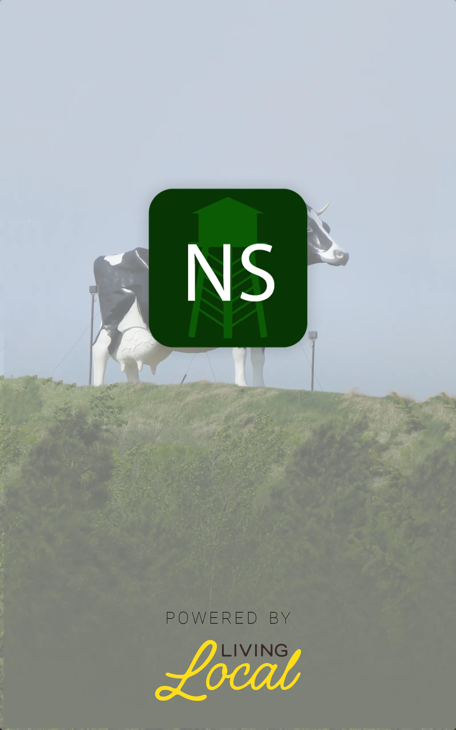Splash Screen
